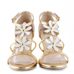 DAISY